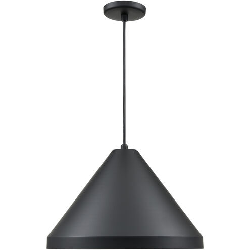 R Series 1 Light 13 inch Satin Black Outdoor Pendant